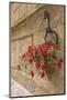 Italy, Tuscany, Pienza. Colorful Petunias Spill from a Basket on a Stone Wall-Brenda Tharp-Mounted Photographic Print