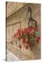 Italy, Tuscany, Pienza. Colorful Petunias Spill from a Basket on a Stone Wall-Brenda Tharp-Stretched Canvas