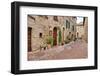 Italy, Tuscany, Pienza. Flower pots and potted plants decorate a narrow street in a Tuscany-Julie Eggers-Framed Photographic Print