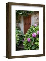 Italy, Tuscany, Pienza. Hydrangeas at the entrance of a home in the streets of Pienza.-Julie Eggers-Framed Photographic Print