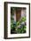 Italy, Tuscany, Pienza. Hydrangeas at the entrance of a home in the streets of Pienza.-Julie Eggers-Framed Photographic Print