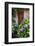 Italy, Tuscany, Pienza. Hydrangeas at the entrance of a home in the streets of Pienza.-Julie Eggers-Framed Photographic Print