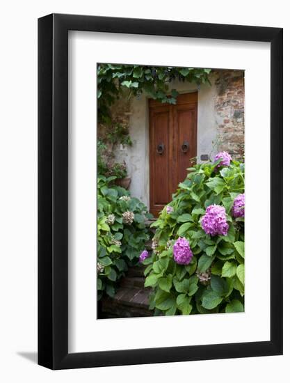Italy, Tuscany, Pienza. Hydrangeas at the entrance of a home in the streets of Pienza.-Julie Eggers-Framed Photographic Print