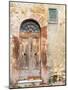 Italy, Tuscany, Pienza. Old wooden door along the streets.-Julie Eggers-Mounted Photographic Print