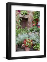 Italy, Tuscany, Pienza. Potted plants in the corner of a street in the town of Pienza.-Julie Eggers-Framed Photographic Print