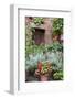 Italy, Tuscany, Pienza. Potted plants in the corner of a street in the town of Pienza.-Julie Eggers-Framed Photographic Print