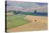 Italy, Tuscany, Pienza. Tuscan Landscape-Jaynes Gallery-Stretched Canvas