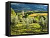 Italy, Tuscany, Pieve di Santa Maria Novella, Radda in Chianti-Terry Eggers-Framed Stretched Canvas