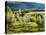 Italy, Tuscany, Pieve di Santa Maria Novella, Radda in Chianti-Terry Eggers-Stretched Canvas