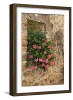 Italy, Tuscany. Pink ivy geraniums blooming in a window in Tuscany.-Julie Eggers-Framed Photographic Print