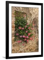 Italy, Tuscany. Pink ivy geraniums blooming in a window in Tuscany.-Julie Eggers-Framed Photographic Print