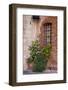 Italy, Tuscany. Plants inside the Abbazia di Monte Oliveto Maggiore, one of the rural monasteries-Julie Eggers-Framed Photographic Print