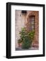 Italy, Tuscany. Plants inside the Abbazia di Monte Oliveto Maggiore, one of the rural monasteries-Julie Eggers-Framed Photographic Print