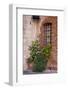 Italy, Tuscany. Plants inside the Abbazia di Monte Oliveto Maggiore, one of the rural monasteries-Julie Eggers-Framed Photographic Print