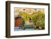 Italy, Tuscany, province of Siena, Chiusure. Hill town. Fall colors and park bench.-Emily Wilson-Framed Photographic Print