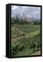 Italy, Tuscany Region, San Gimignano, Medieval Towers-null-Framed Stretched Canvas