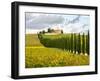 Italy, Tuscany. Road lined with Italian cypress trees leading to a villa.-Julie Eggers-Framed Photographic Print