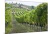 Italy, Tuscany. Rows of grape vines in a vineyard in Tuscany.-Julie Eggers-Mounted Photographic Print