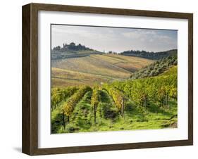 Italy, Tuscany. Rows of Vines and Olive Groves Carpet the Countryside-Julie Eggers-Framed Premium Photographic Print