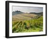 Italy, Tuscany. Rows of Vines and Olive Groves Carpet the Countryside-Julie Eggers-Framed Premium Photographic Print