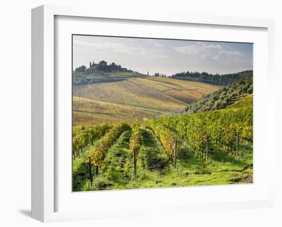 Italy, Tuscany. Rows of Vines and Olive Groves Carpet the Countryside-Julie Eggers-Framed Premium Photographic Print