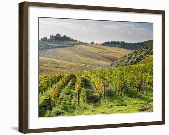 Italy, Tuscany. Rows of Vines and Olive Groves Carpet the Countryside-Julie Eggers-Framed Photographic Print