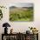 Italy, Tuscany. Rows of Vines and Olive Groves Carpet the Countryside-Julie Eggers-Photographic Print displayed on a wall