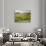 Italy, Tuscany. Rows of Vines and Olive Groves Carpet the Countryside-Julie Eggers-Photographic Print displayed on a wall