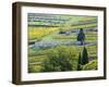 Italy, Tuscany. Rows of Vines and Olive Groves Carpet the Countryside-Julie Eggers-Framed Premium Photographic Print