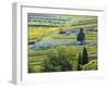 Italy, Tuscany. Rows of Vines and Olive Groves Carpet the Countryside-Julie Eggers-Framed Premium Photographic Print