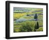 Italy, Tuscany. Rows of Vines and Olive Groves Carpet the Countryside-Julie Eggers-Framed Photographic Print