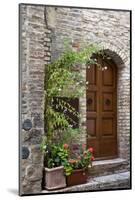 Italy, Tuscany, San Gimignano. Homes decorated with flower pots along the streets of San Gimignano.-Julie Eggers-Mounted Photographic Print