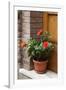 Italy, Tuscany, San Gimignano. Red hibiscus flower in a pot on the doorstep of a home-Julie Eggers-Framed Photographic Print