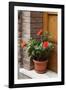 Italy, Tuscany, San Gimignano. Red hibiscus flower in a pot on the doorstep of a home-Julie Eggers-Framed Photographic Print