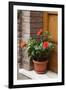 Italy, Tuscany, San Gimignano. Red hibiscus flower in a pot on the doorstep of a home-Julie Eggers-Framed Photographic Print