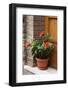 Italy, Tuscany, San Gimignano. Red hibiscus flower in a pot on the doorstep of a home-Julie Eggers-Framed Photographic Print