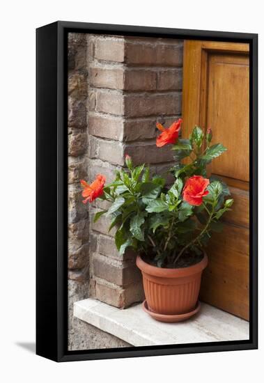 Italy, Tuscany, San Gimignano. Red hibiscus flower in a pot on the doorstep of a home-Julie Eggers-Framed Stretched Canvas