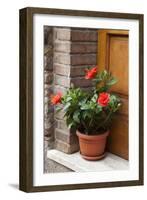 Italy, Tuscany, San Gimignano. Red hibiscus flower in a pot on the doorstep of a home-Julie Eggers-Framed Photographic Print