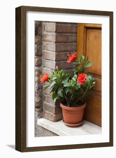 Italy, Tuscany, San Gimignano. Red hibiscus flower in a pot on the doorstep of a home-Julie Eggers-Framed Photographic Print