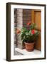 Italy, Tuscany, San Gimignano. Red hibiscus flower in a pot on the doorstep of a home-Julie Eggers-Framed Photographic Print