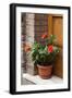 Italy, Tuscany, San Gimignano. Red hibiscus flower in a pot on the doorstep of a home-Julie Eggers-Framed Photographic Print