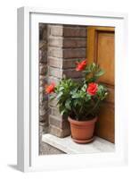 Italy, Tuscany, San Gimignano. Red hibiscus flower in a pot on the doorstep of a home-Julie Eggers-Framed Photographic Print