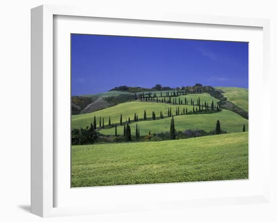 Italy, Tuscany, Siena, Chianciano Terme, Landscape at La Foce-Udo Siebig-Framed Photographic Print