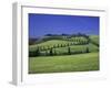 Italy, Tuscany, Siena, Chianciano Terme, Landscape at La Foce-Udo Siebig-Framed Photographic Print