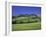 Italy, Tuscany, Siena, Chianciano Terme, Landscape at La Foce-Udo Siebig-Framed Photographic Print