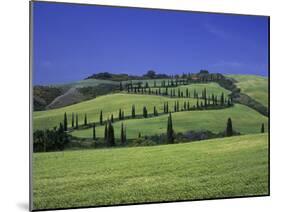 Italy, Tuscany, Siena, Chianciano Terme, Landscape at La Foce-Udo Siebig-Mounted Photographic Print