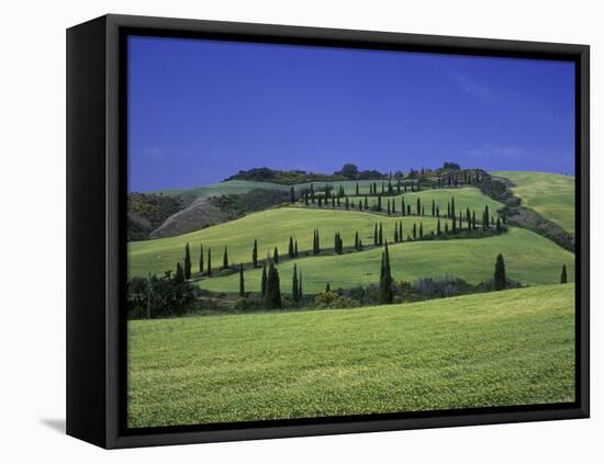 Italy, Tuscany, Siena, Chianciano Terme, Landscape at La Foce-Udo Siebig-Framed Stretched Canvas