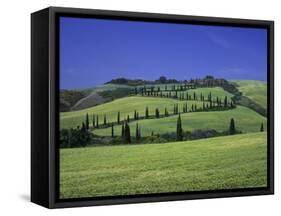 Italy, Tuscany, Siena, Chianciano Terme, Landscape at La Foce-Udo Siebig-Framed Stretched Canvas