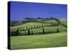 Italy, Tuscany, Siena, Chianciano Terme, Landscape at La Foce-Udo Siebig-Stretched Canvas