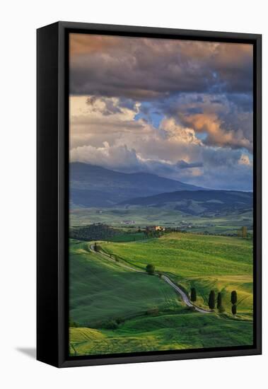 Italy, Tuscany, Siena District, Orcia Valley, Country Road Near Pienza.-Francesco Iacobelli-Framed Stretched Canvas